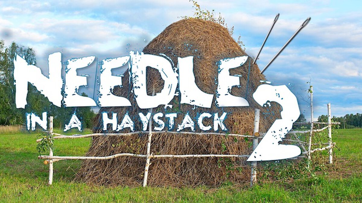 Needle in a Haystack 2 image number null